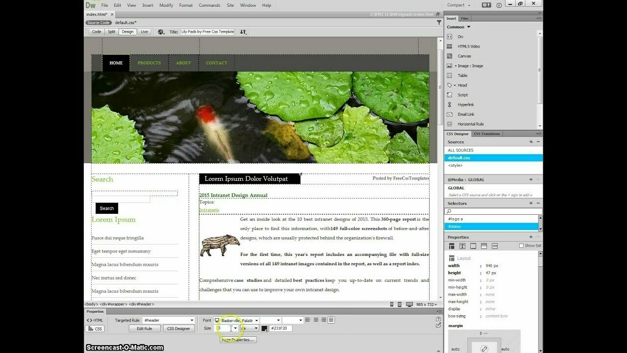 lay-out Dreamweaver programma.