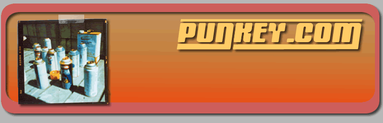 De laatste header van punkeydotcom