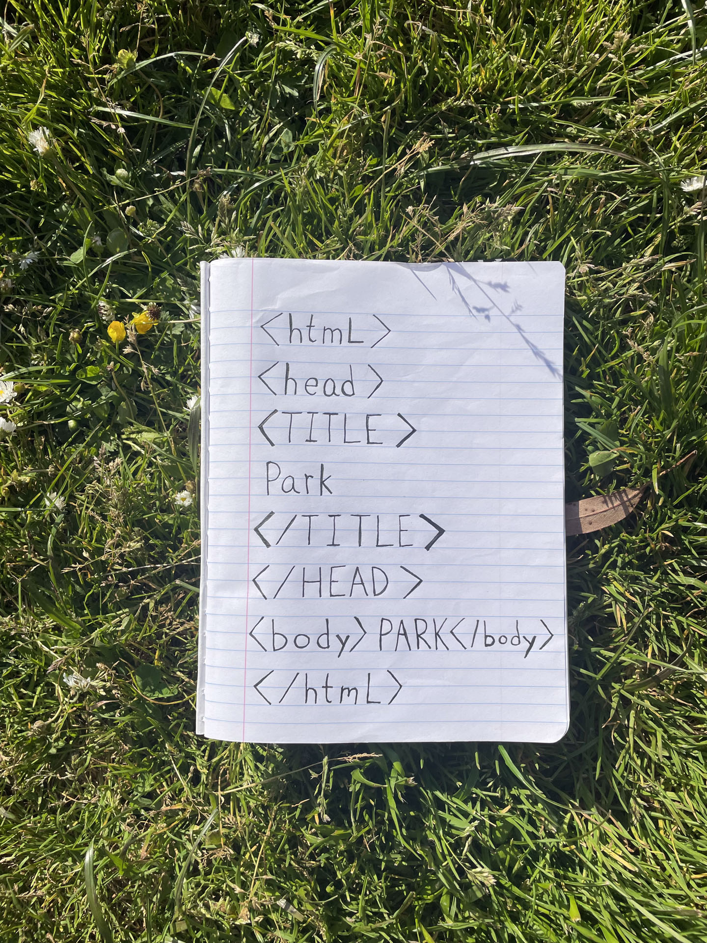 Auto-generated description: Een vel papier met HTML-code ligt op gras, met code tags voor html, head, title, en body erop geschreven.