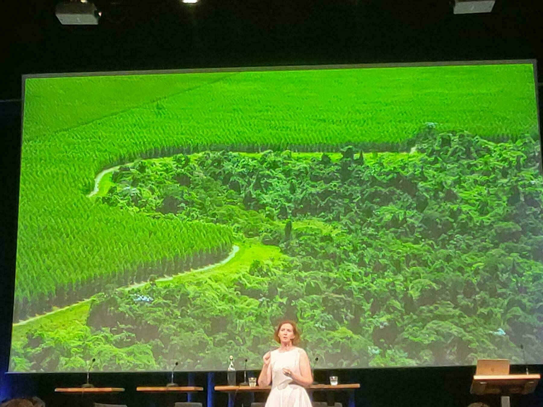 Groene bossen vormen een weelderig landschap met een kronkelig pad dat door de bomen slingert terwijl een persoon in een witte jurk spreekt op een podium met tafels en glazen.